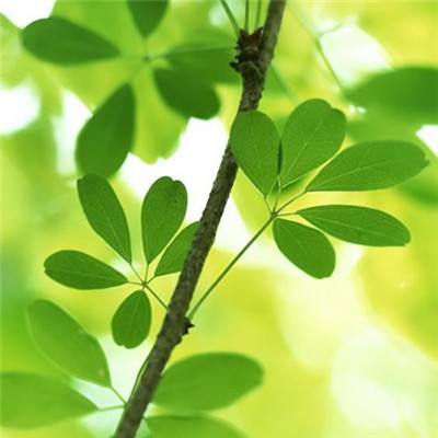 星际裂痕百度官方版下载